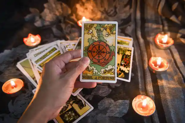 tarot cards Boles Acres